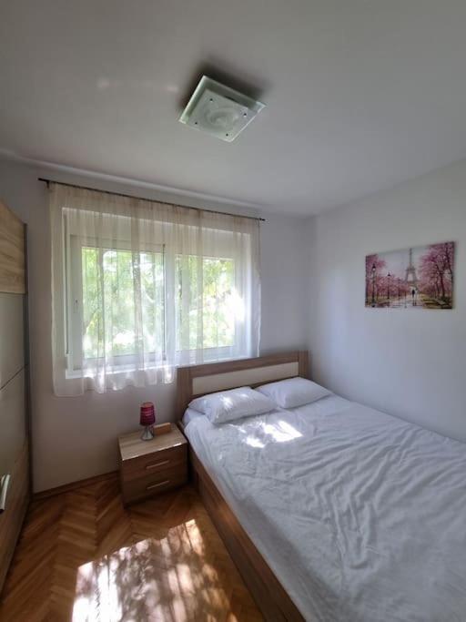Cozy Next To Bus And Train Station דירה